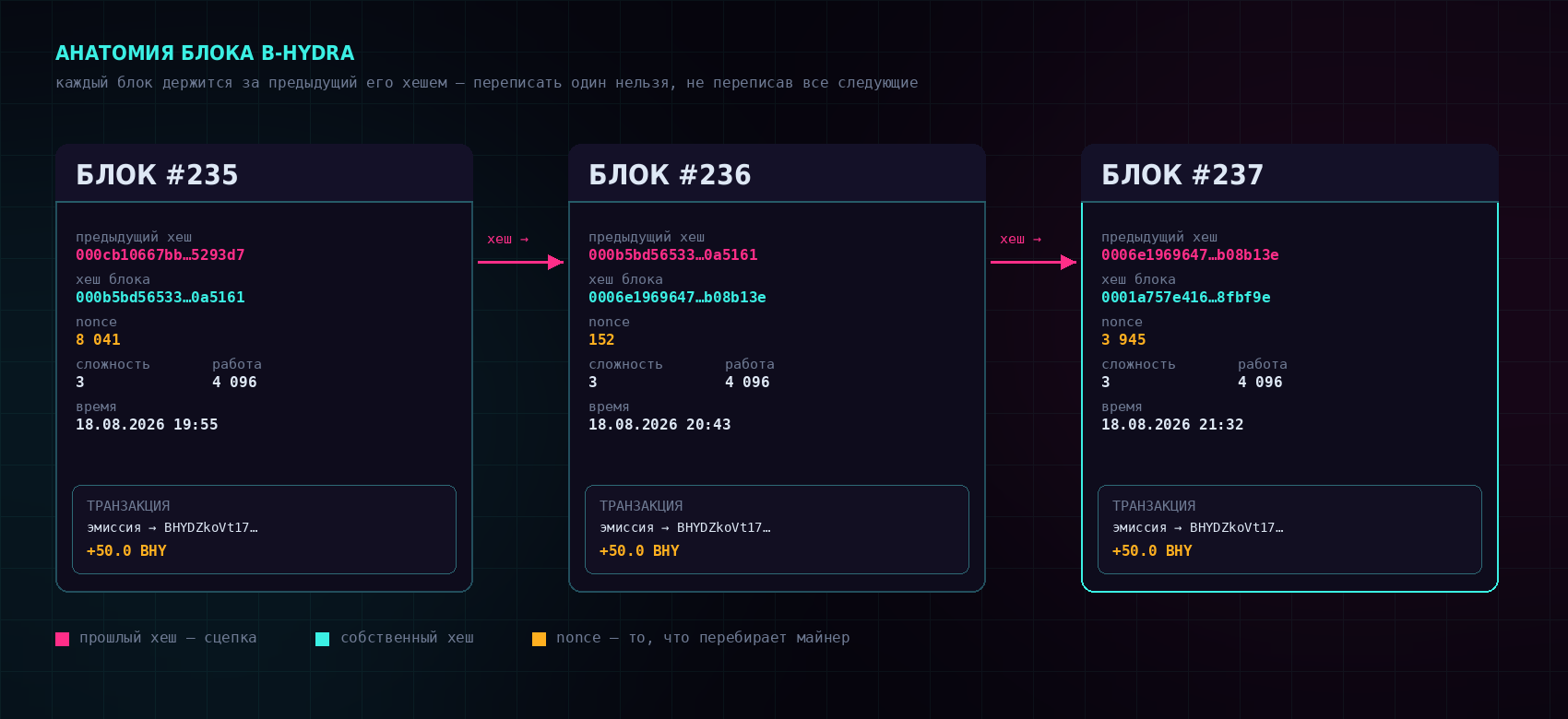 Три блока B-Hydra подряд: у каждого поле «предыдущий хеш», собственный хеш, nonce, сложность, работа, время и транзакция эмиссии. Стрелки показывают, что хеш блока становится полем «предыдущий хеш» у следующего.